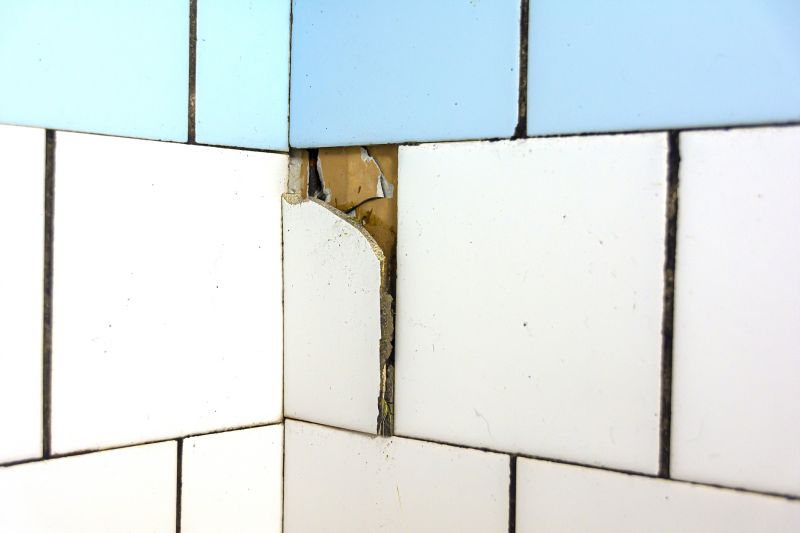 Tile and Grout Damage