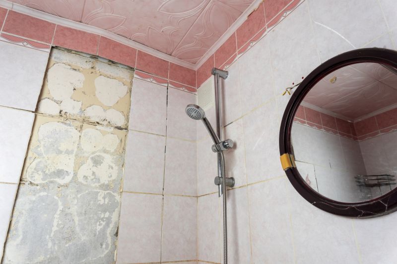 Repaired Shower Wall